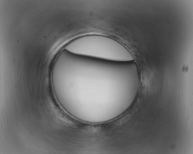 X0000111580247200907161203