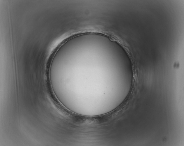 X0000111580248200907161203