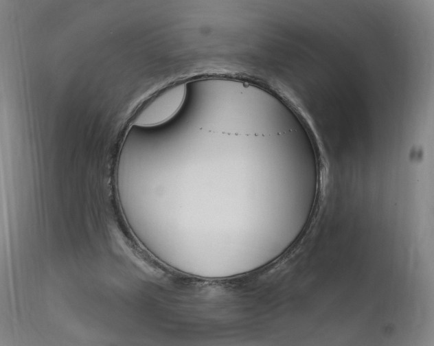 X0000111580249200907161203
