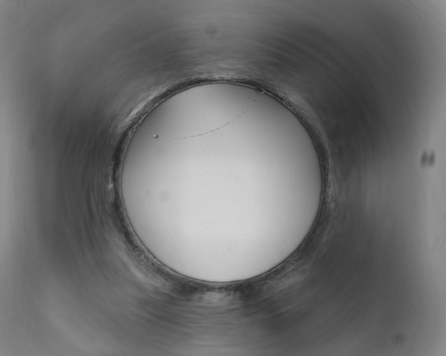 X0000111580251200907161203