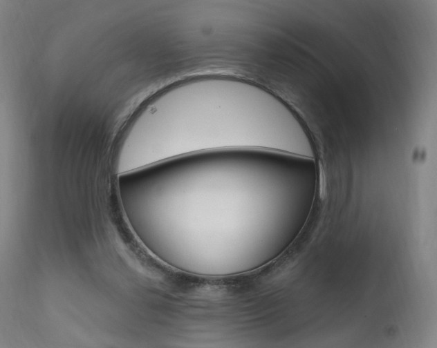 X0000111580252200907161203