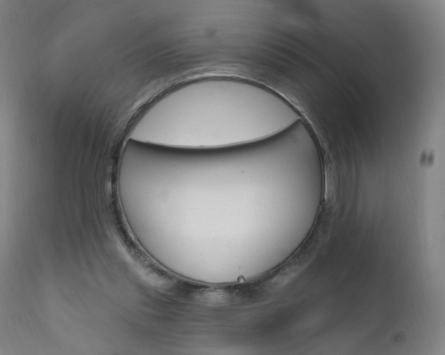 X0000111580253200907161203
