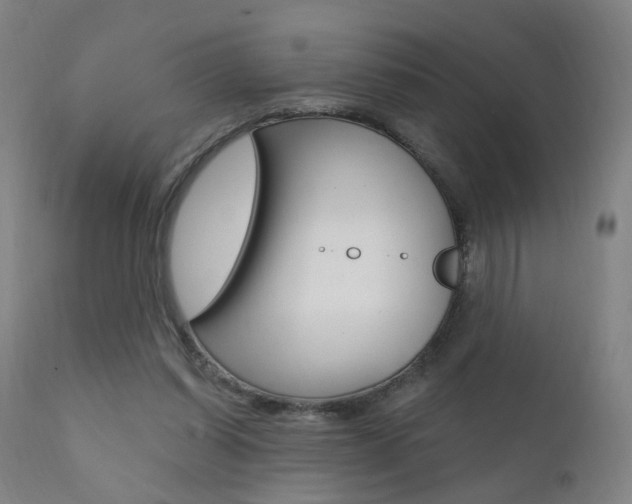 X0000111580254200907161203