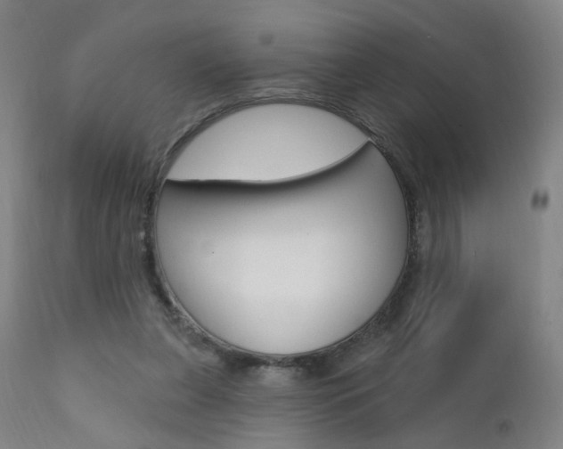 X0000111580255200907161203