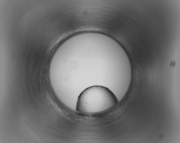 X0000111580256200907161203