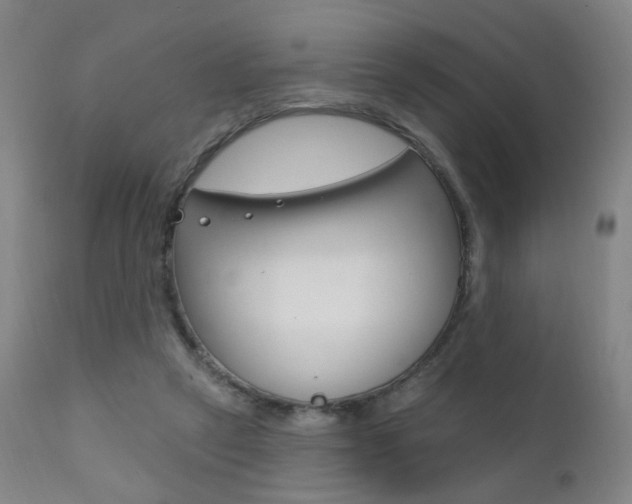 X0000111580257200907161203