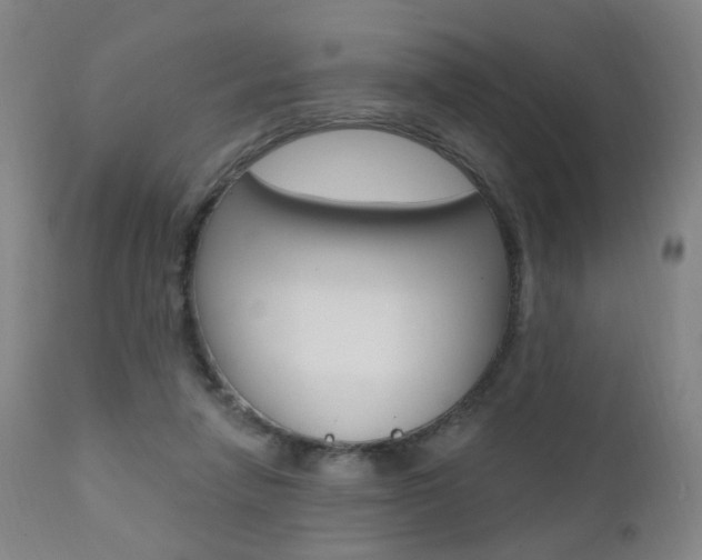 X0000111580258200907161203