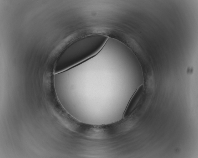 X0000111580260200907161203