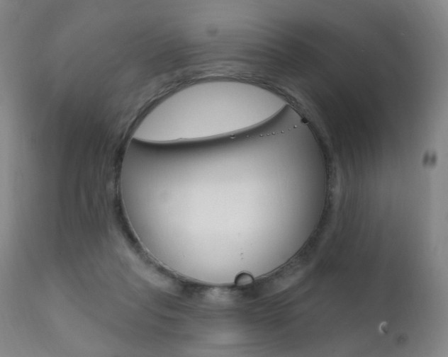 X0000111580261200907161203