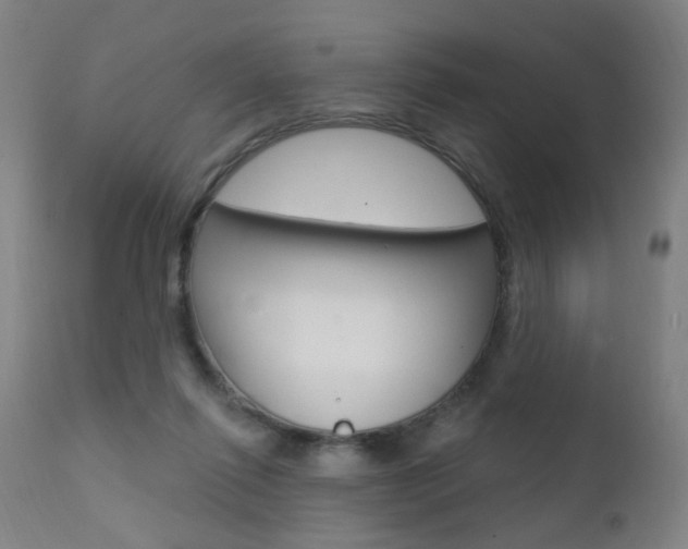 X0000111580262200907161203