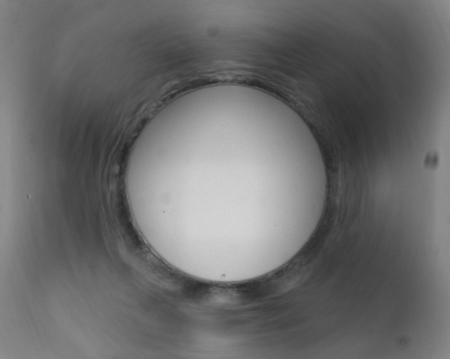 X0000111580263200907161203