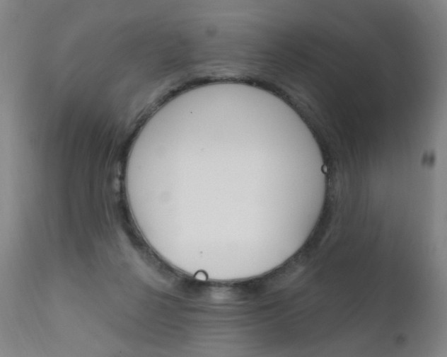 X0000111580264200907161203