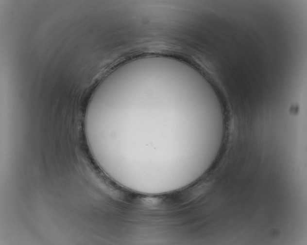 X0000111580265200907161203