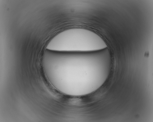 X0000111580266200907161203