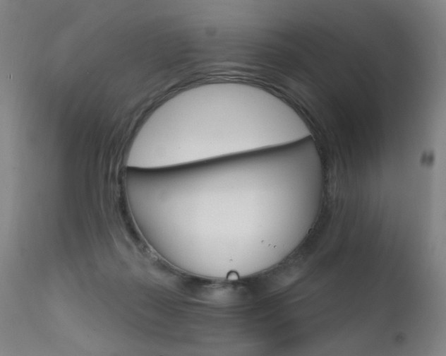 X0000111580267200907161203