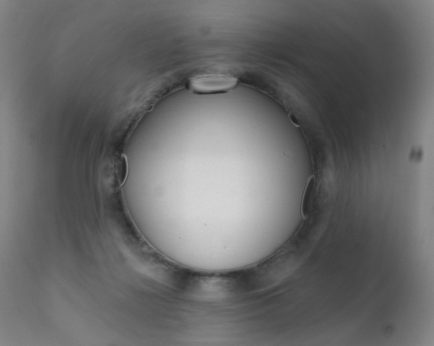 X0000111580268200907161203