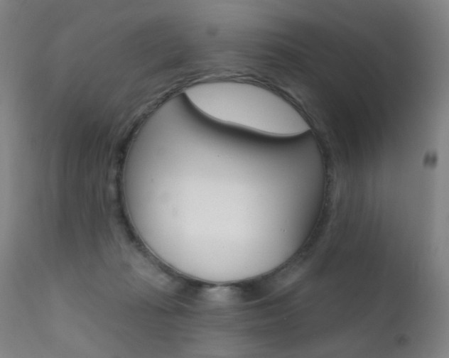 X0000111580269200907161203