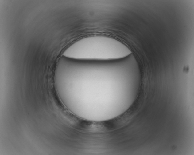 X0000111580270200907161204