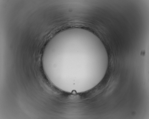 X0000111580271200907161204