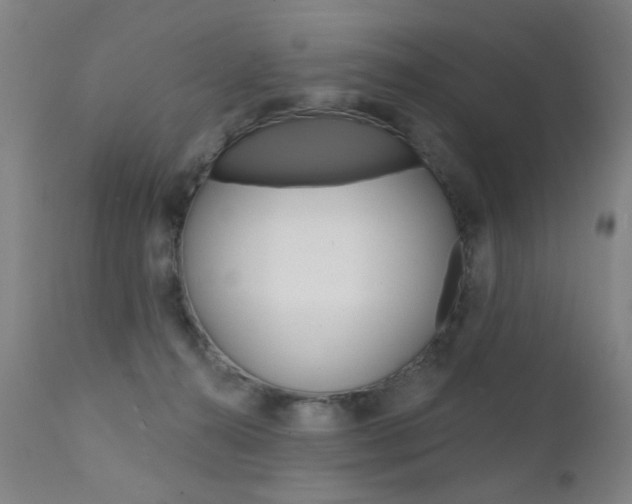 X0000111580272200907161204