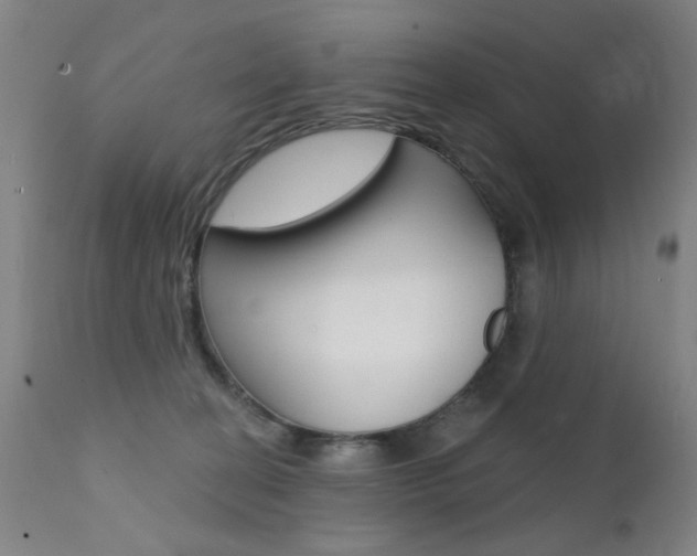 X0000111580274200907161204