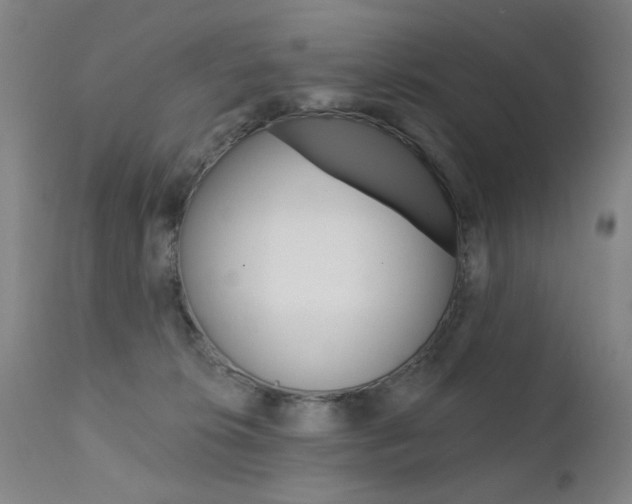 X0000111580276200907161204