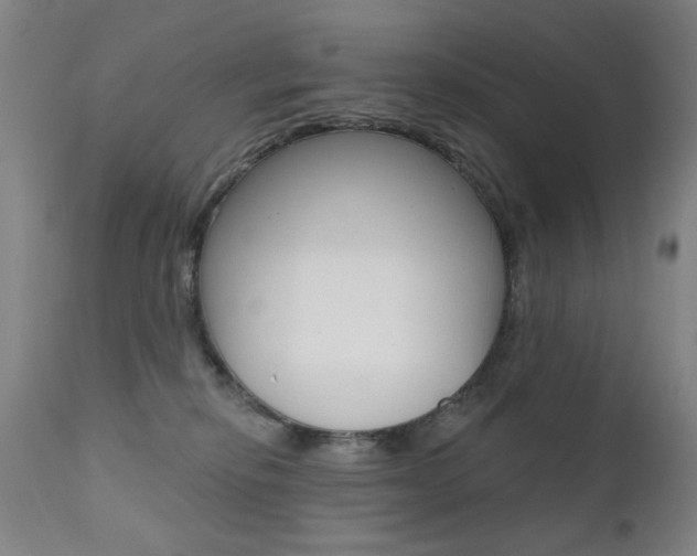 X0000111580278200907161204