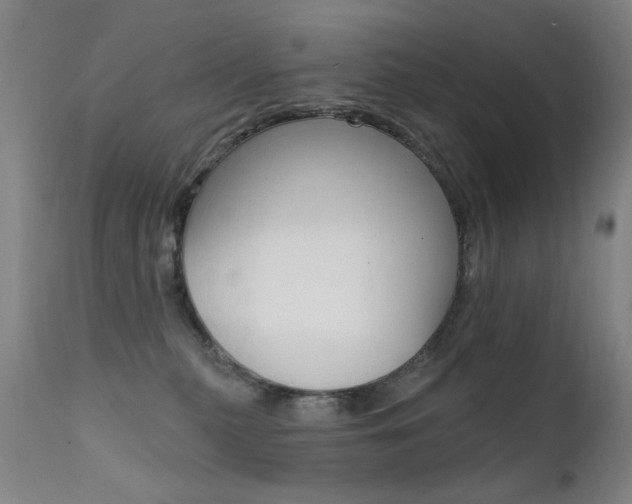 X0000111580279200907161204