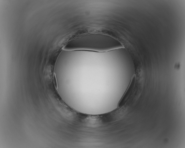 X0000111580280200907161204