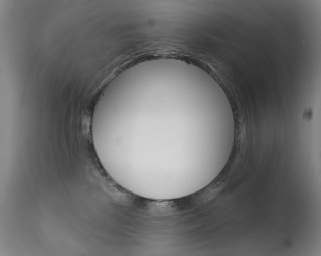 X0000111580281200907161204