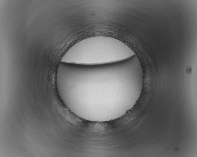 X0000111580282200907161204