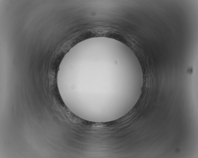 X0000111580283200907161204