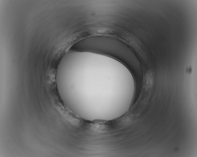 X0000111580284200907161204