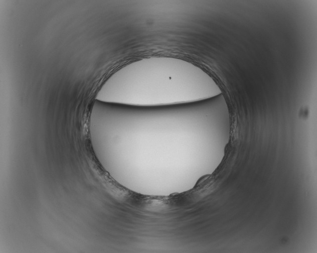 X0000111580285200907161204