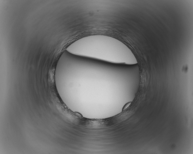 X0000111580286200907161204