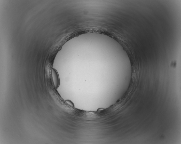 X0000111580287200907161204