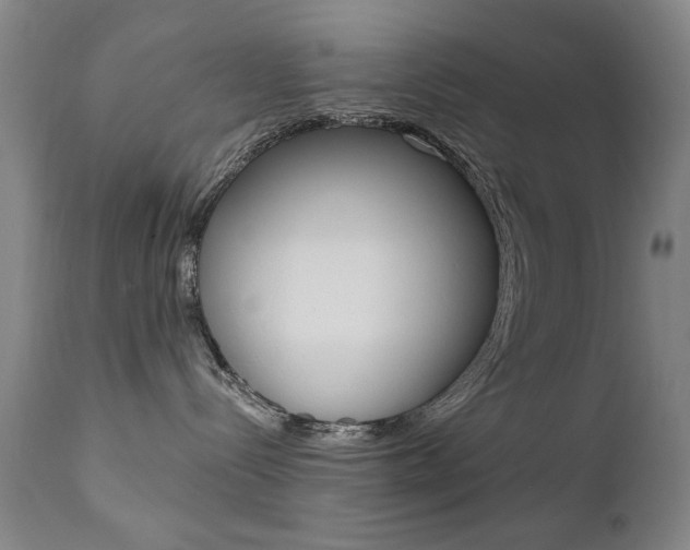 X0000111580288200907161204