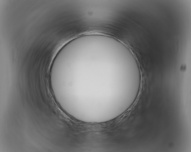 X0000111580289200907161203