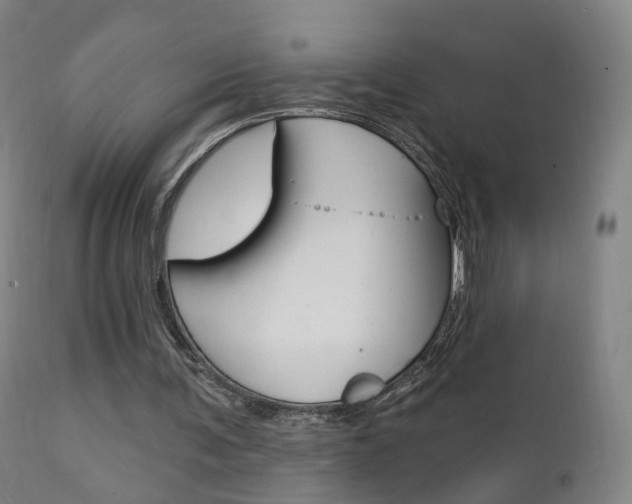 X0000111580291200907161203