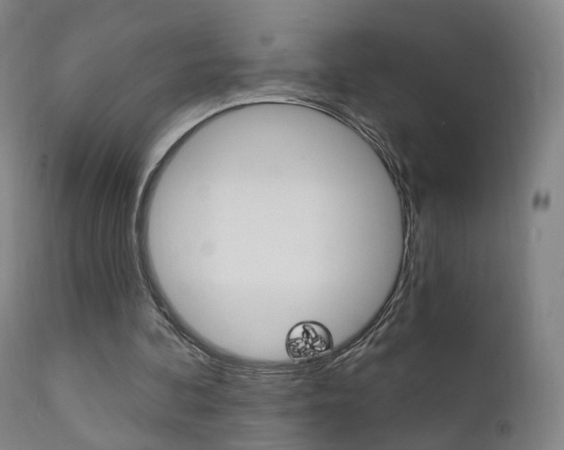 X0000111580292200907161203