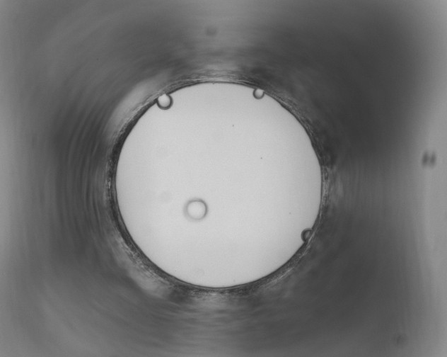 X0000111580293200907161203
