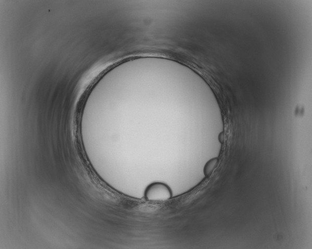 X0000111580294200907161203