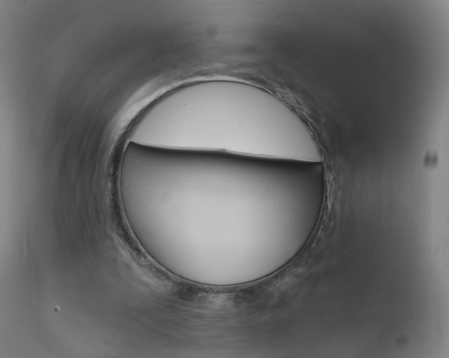 X0000111580295200907161203