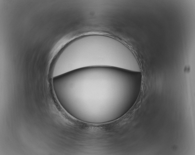 X0000111580296200907161203