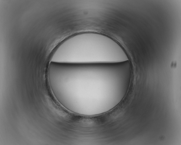 X0000111580299200907161203