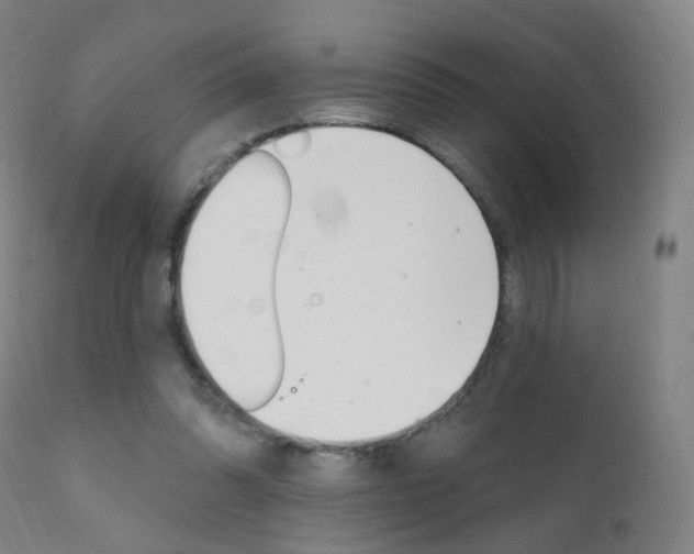 X0000111580302200907161203