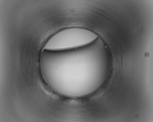 X0000111580303200907161203