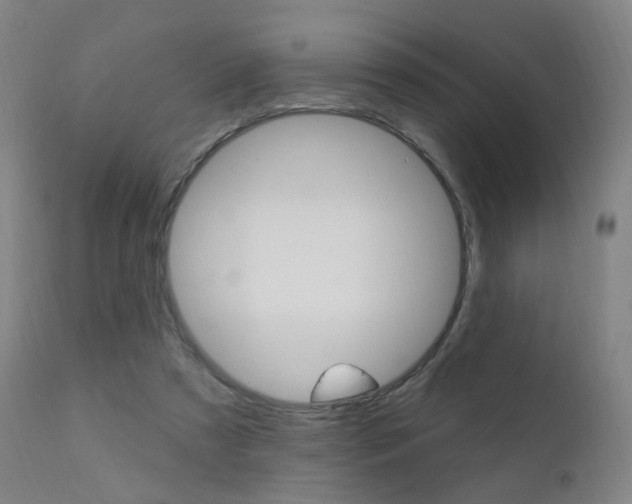X0000111580305200907161203