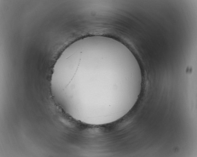 X0000111580307200907161202