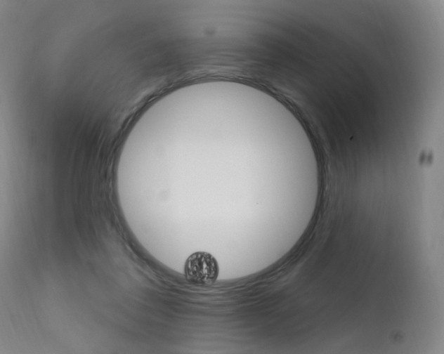X0000111580308200907161202